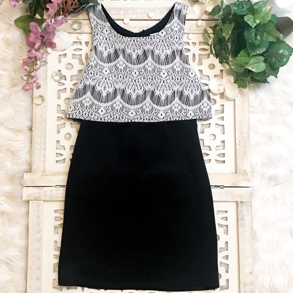 NWOT Honey & Rosie Black/ White sheath dress 12